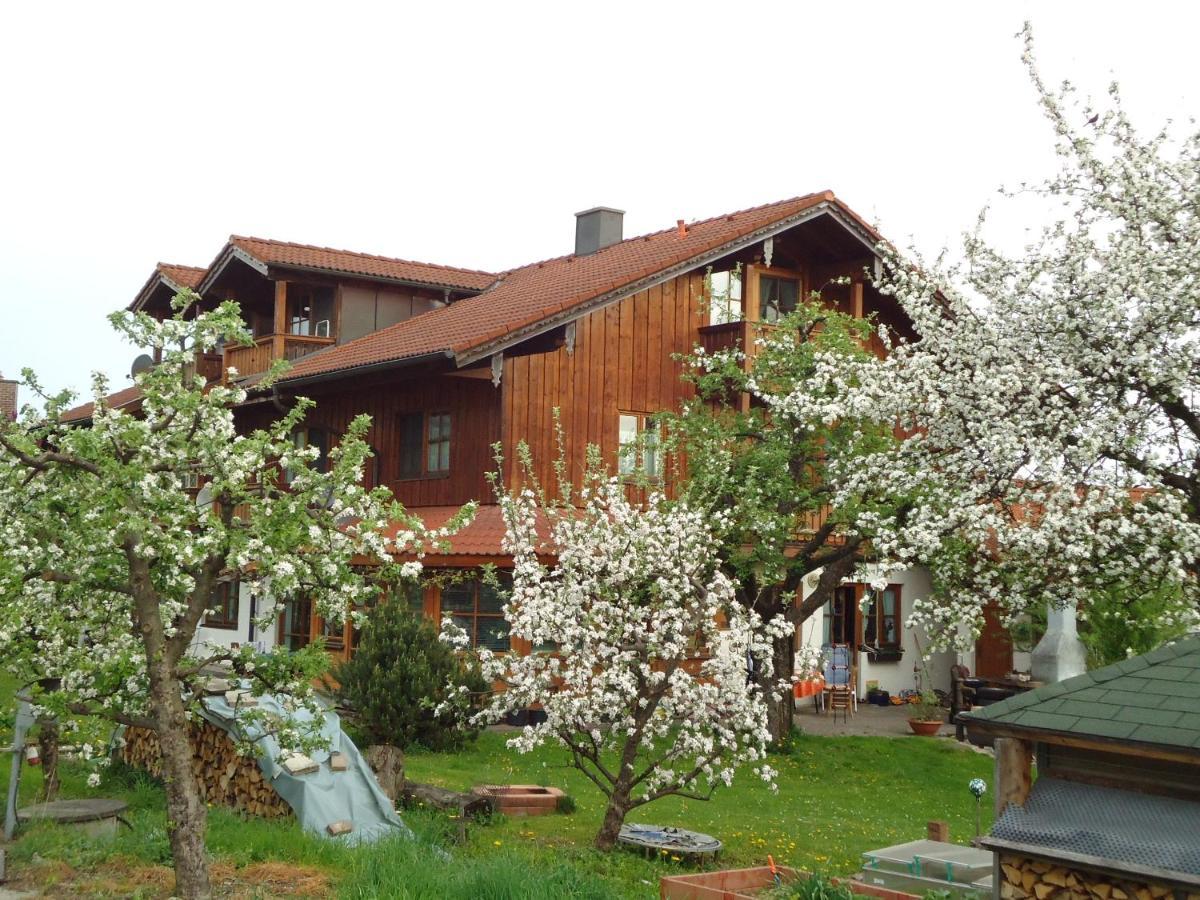 Ferienwohnung Wingen 바트파일른바흐 외부 사진